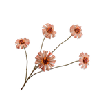 Zinnia tak Zalm 89cm