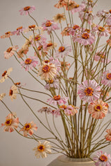 Zinnia tak Mauve 89cm