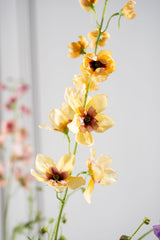 Delphinium tak geel - 101cm