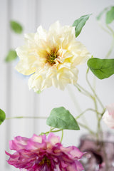 Clematis geel - 65cm