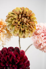 Dahlia Steel Grn/Roz 74 cm