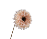 Zonnebloem Tak Creme 71 cm