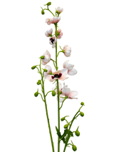 Delphinium Tak Cr/Roz 101 cm