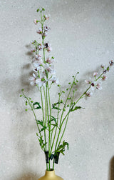 Delphinium Tak Cr/Roz 101 cm