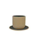 bruin kop en schotel