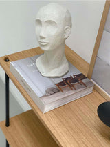 head sculpture abstract face