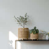 twee rieten plantenbakken