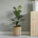 webbing plantenpot van riet