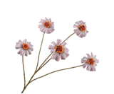 Zinnia tak Mauve 89cm