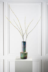 Pittosporum tak groen - 85 cm