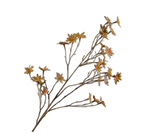 Margriet Tak Roz/Grn 79 cm