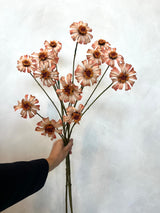 Zinnia Boeket