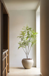 Bamboo Tree 180cm